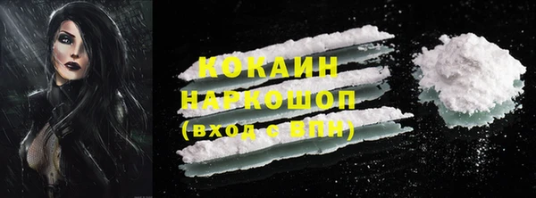шишки Нязепетровск