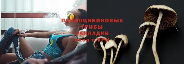 кокаин премиум Новодвинск