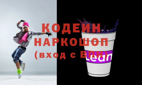 шишки Нязепетровск