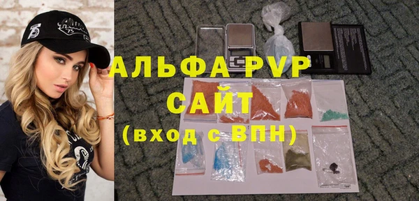 соль ск Ряжск