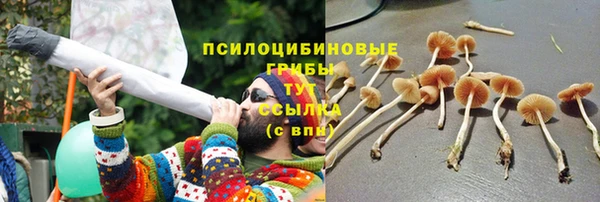 MESCALINE Нягань