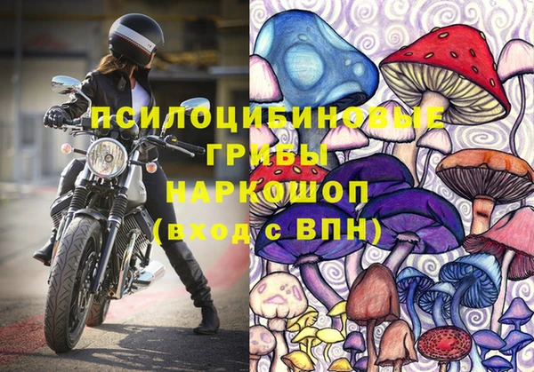 шишки Нязепетровск