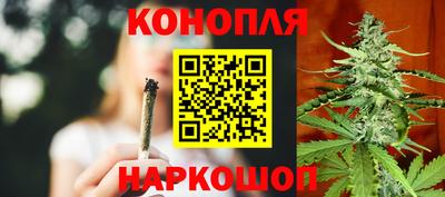 apvp Камышлов