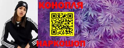 apvp Камышлов