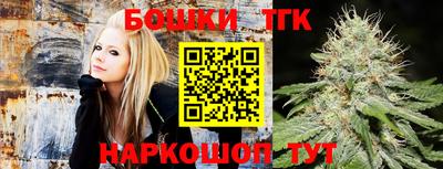 МДПВ Сланцы