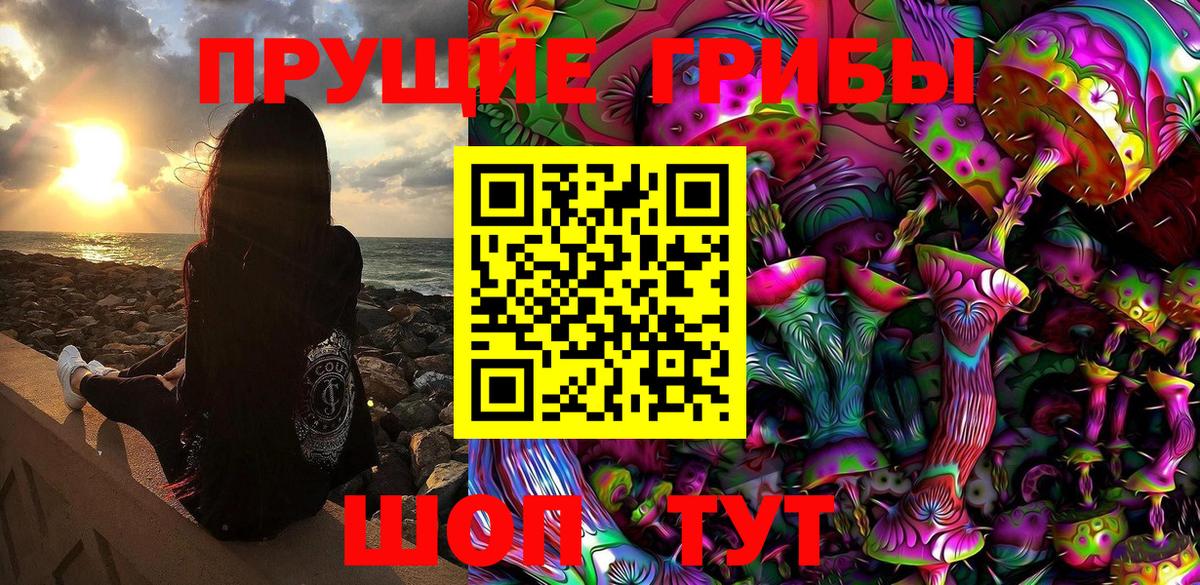 цена   Удомля  Псилоцибиновые грибы GOLDEN TEACHER 