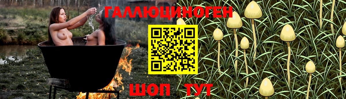 Галлюциногенные грибы GOLDEN TEACHER  Псилоцибиновые грибы прущие грибы  Удомля 