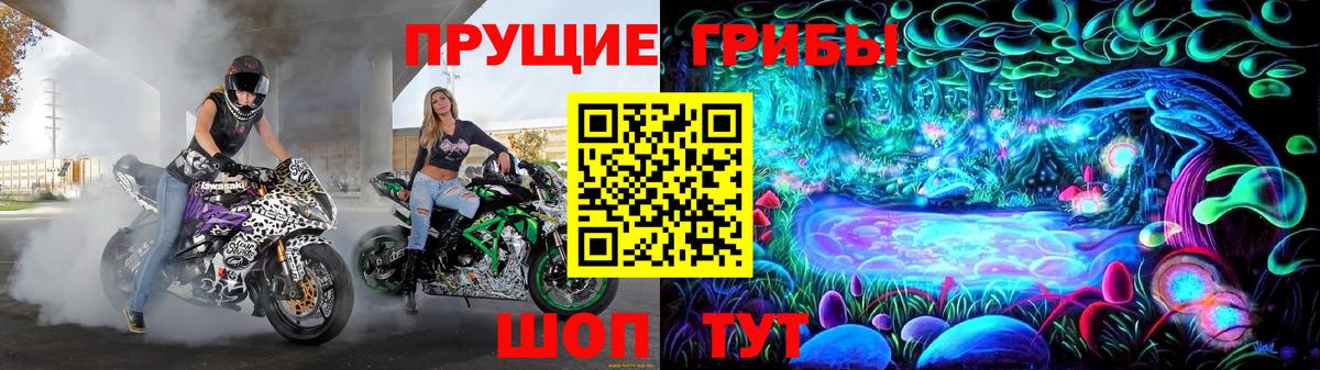 Галлюциногенные грибы Cubensis Удомля