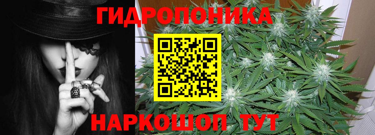 Шишки марихуана тримм  Удомля  Бошки марихуана план 